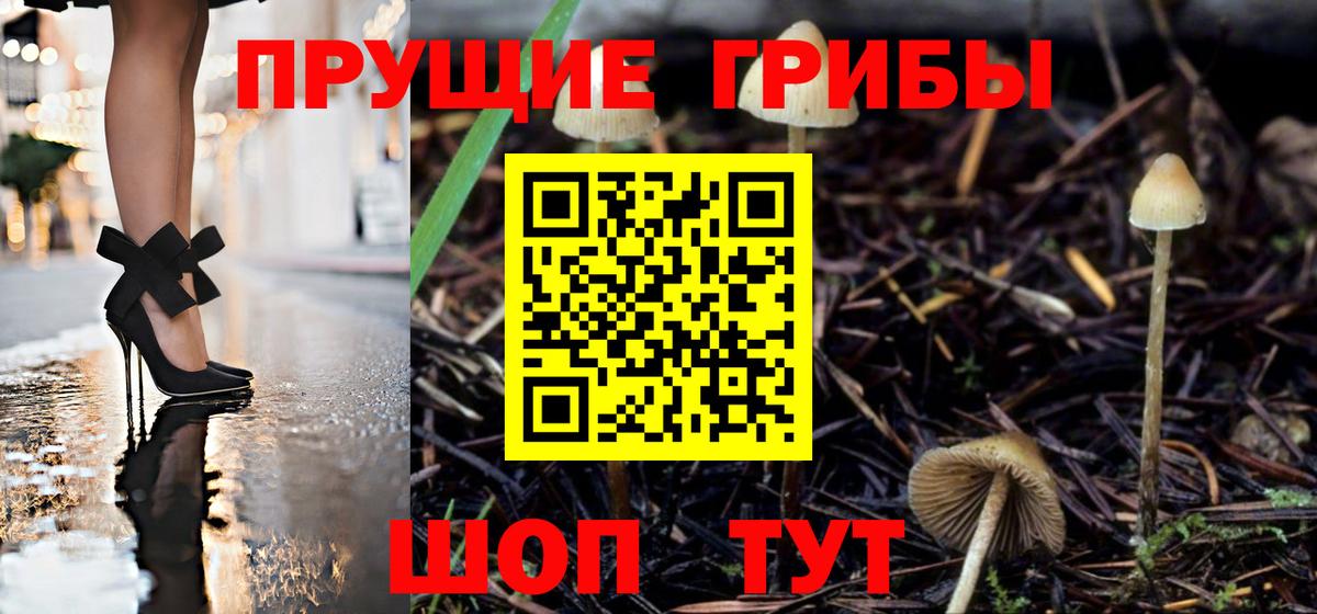 Фрязино  Псилоцибиновые грибы ЛСД  Вход с VPN 